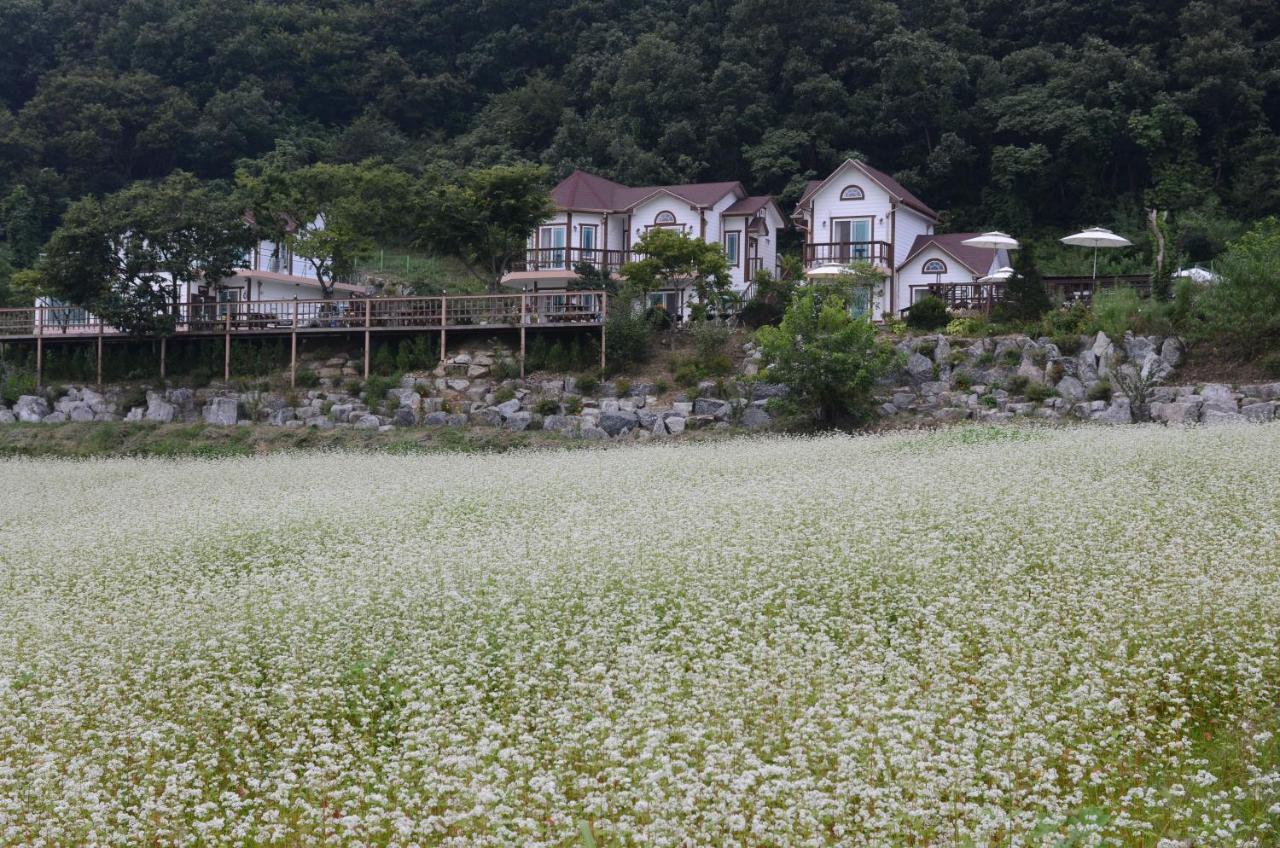 Forest Of Color Pension Hongcheon Bagian luar foto