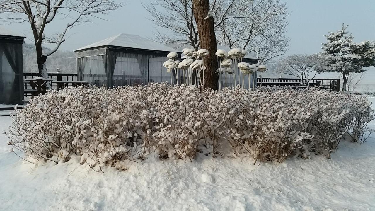 Forest Of Color Pension Hongcheon Bagian luar foto