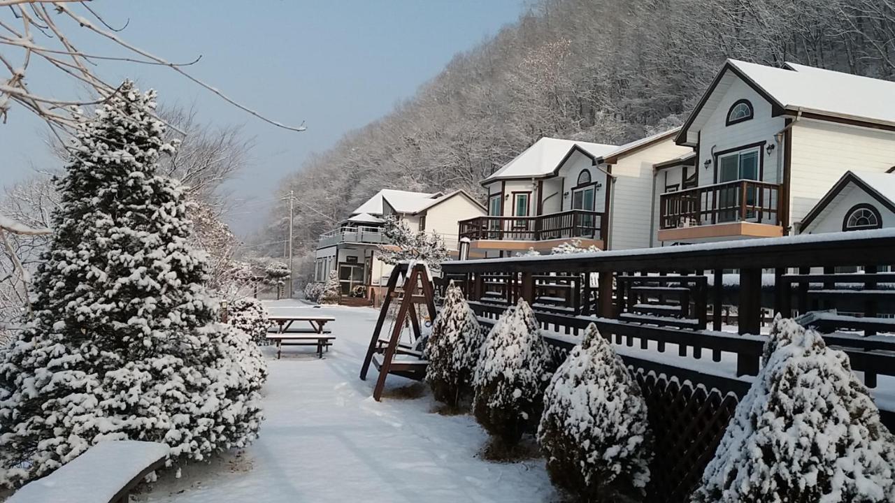 Forest Of Color Pension Hongcheon Bagian luar foto
