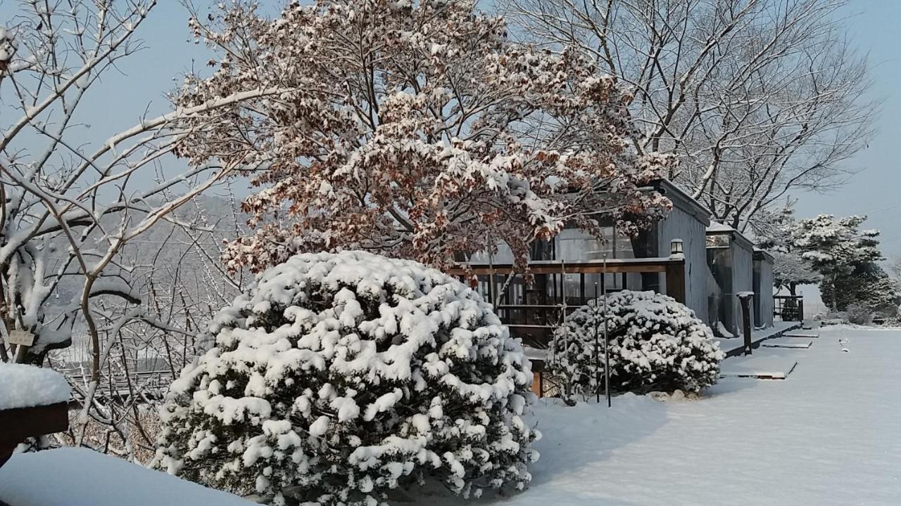 Forest Of Color Pension Hongcheon Bagian luar foto