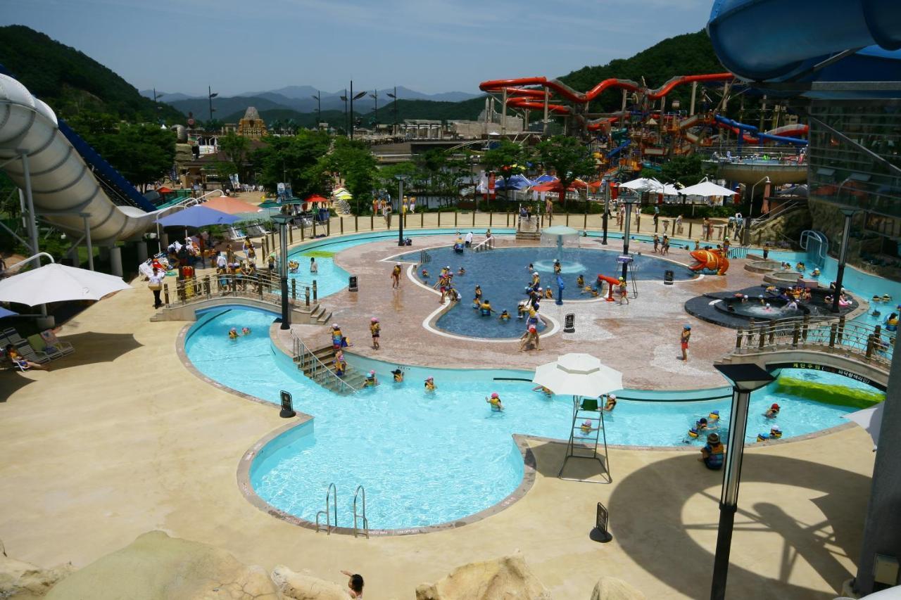 Forest Of Color Pension Hongcheon Bagian luar foto