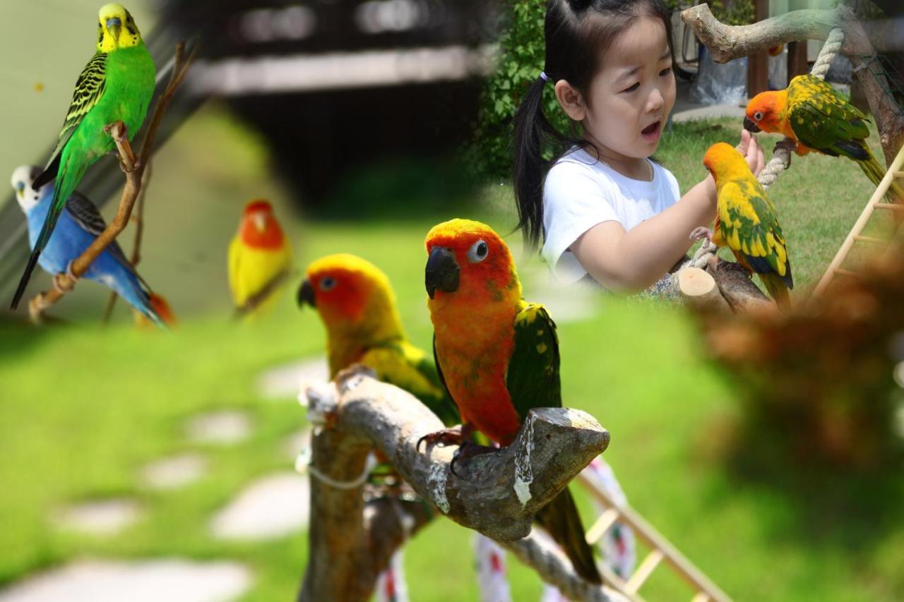 Forest Of Color Pension Hongcheon Bagian luar foto